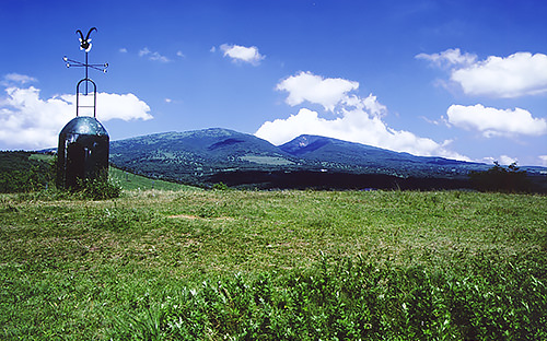 菅平高原